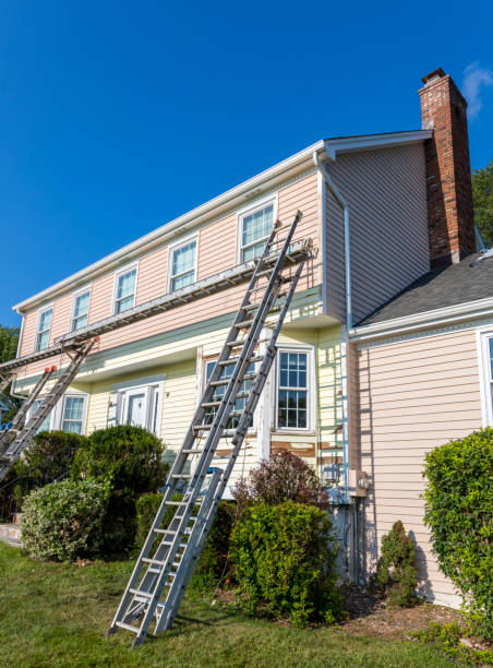 Best Basement Cleanout  in Craigsville, WV